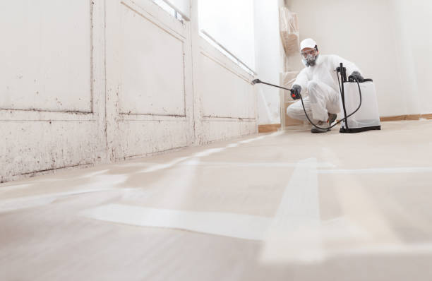 24/7 Emergency Commercial Mold Remediation experts in Rixeyville, VA