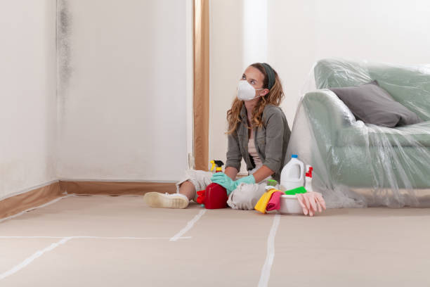 Reliable Commercial Mold Remediation contractor in Rixeyville, VA by Car Mold Remediation