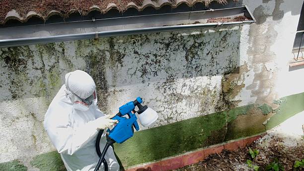 Top rated local Commercial Mold Remediation specialists in Rixeyville, VA
